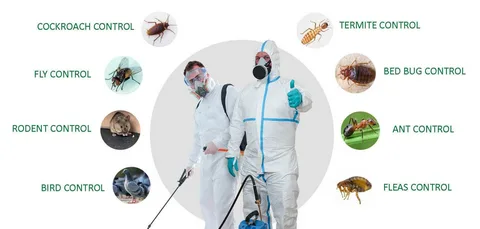 Why you should chose a Pest Control Professional in Long Island