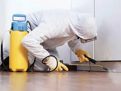 How long does it take for Pest Control Elmont Procedure to Work?
