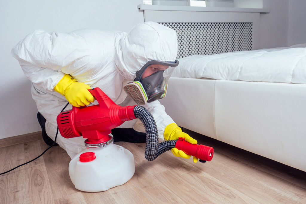 How to Tackle Common Pests in New York: Pest Control Guide