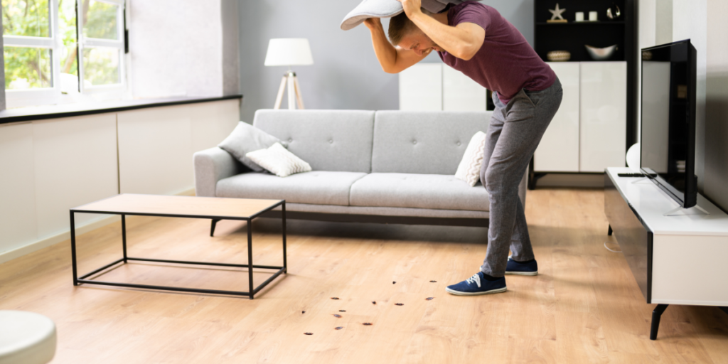 Best Way to Control Cockroaches in Apartments and Small Spaces