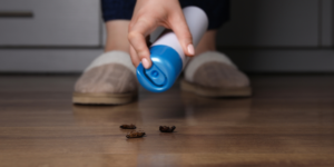 dangers-of-summer-pests