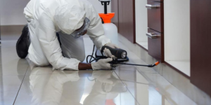 commercial-insect-control