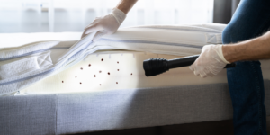 bed-bug-treatment-cost