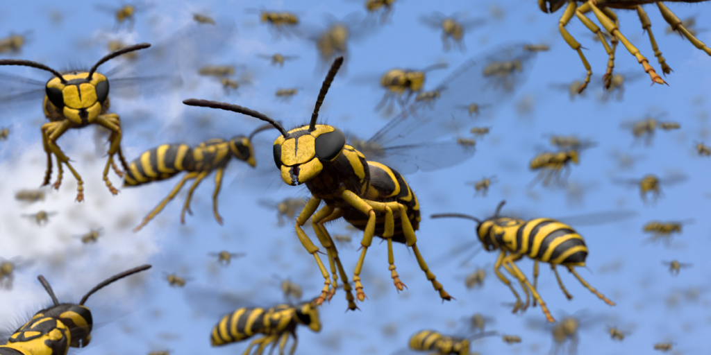 Best Pest Control for Wasps: Seasonal Tips for Long-Term Control