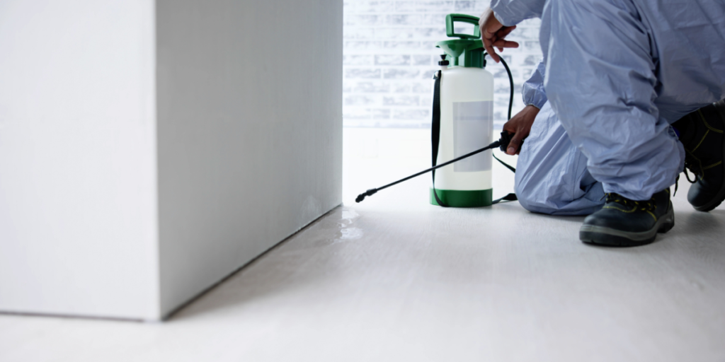 Exterminate Pest Control: How to Prepare Your Home for the First Visit?