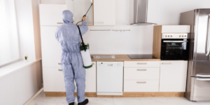indoor-insect-control