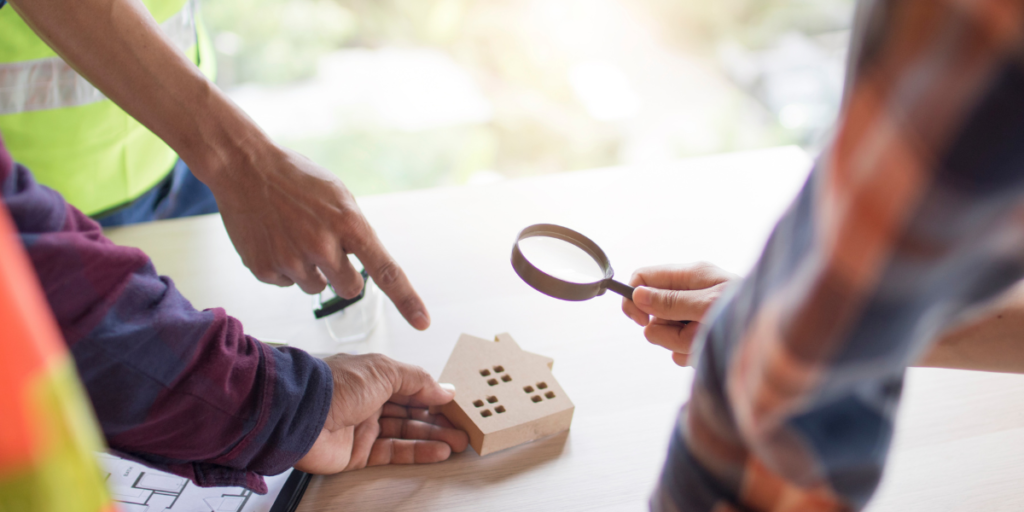 Pest Inspection Explained: What It Covers and Why It Matters